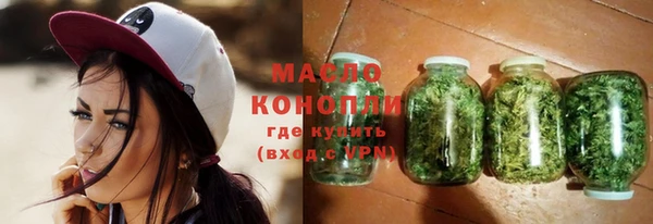 гидра Вяземский
