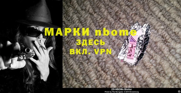гидра Горняк