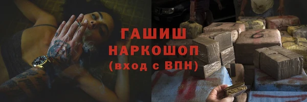 гидра Горняк