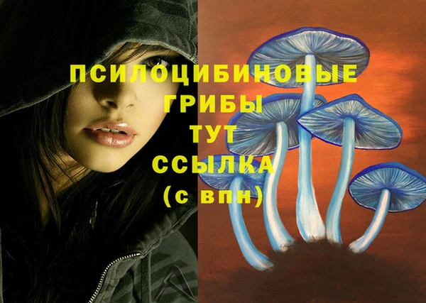 винт Вязники