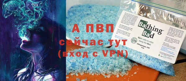гидра Вяземский