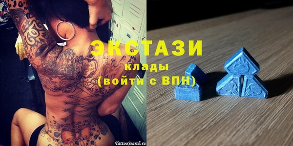 гидра Вяземский