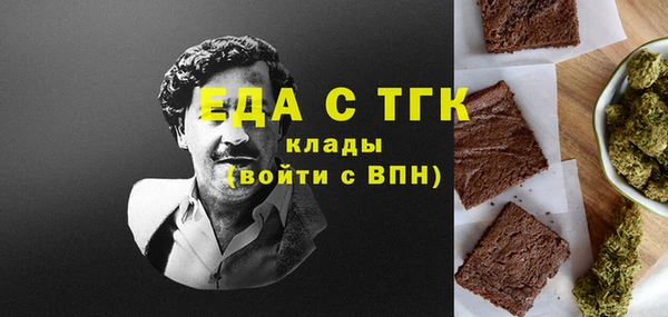 гидра Вяземский