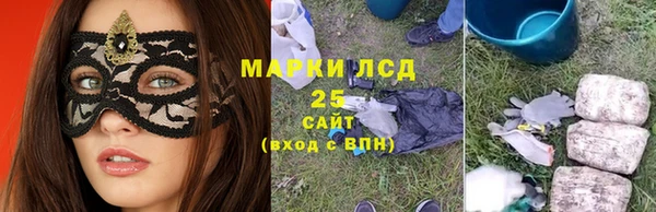 гидра Вяземский