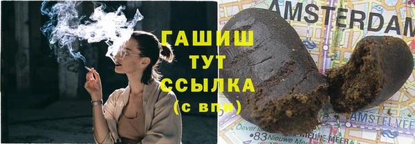 гидра Горно-Алтайск