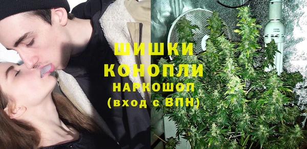 гидра Вяземский